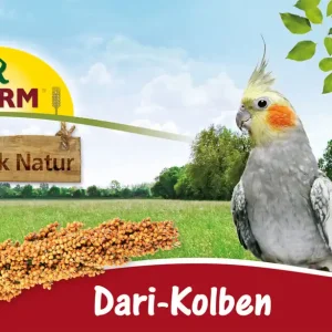 Preis Gesenkt Sparpaket 2 x 100 g JR Farm Dari-Kolben Vogel Snack